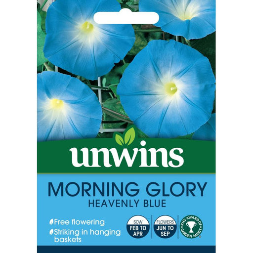 Morning Glory Heavenly Blue