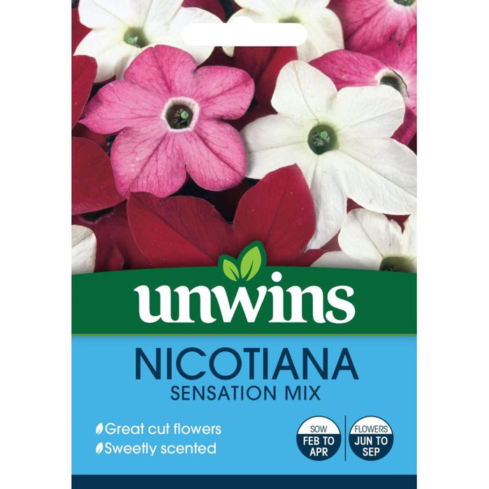 Nicotiana Sensation Mix