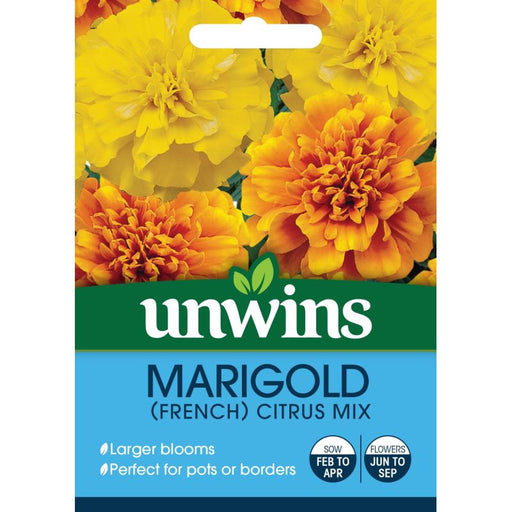 Marigold French Citrus Mix