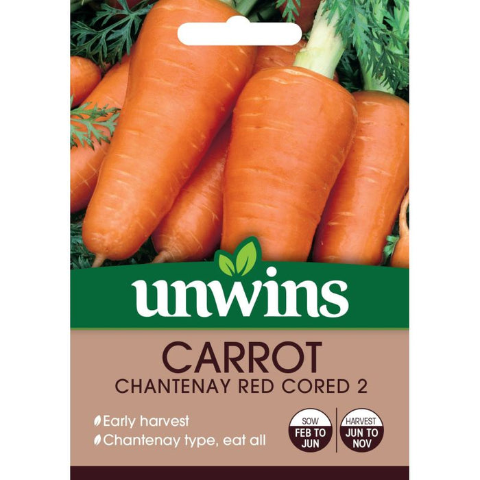 Carrot Chantenay Red Cored 2