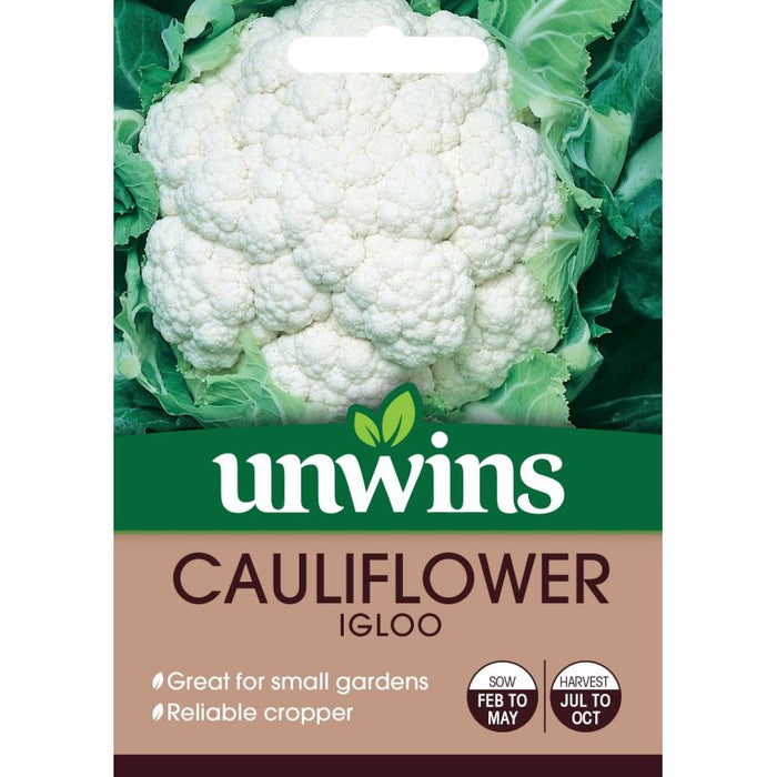 Cauliflower Igloo