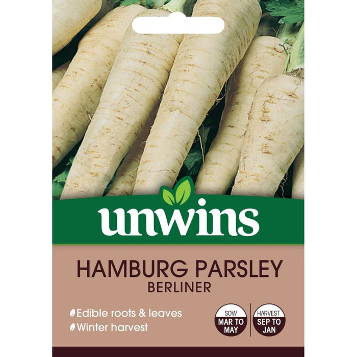 Hamburg Parsley Berliner