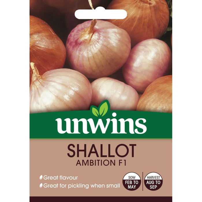 Shallot Ambition