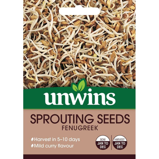 Sprouting Seeds Fenugreek