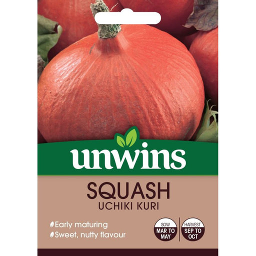 Squash Uchiki Kuri