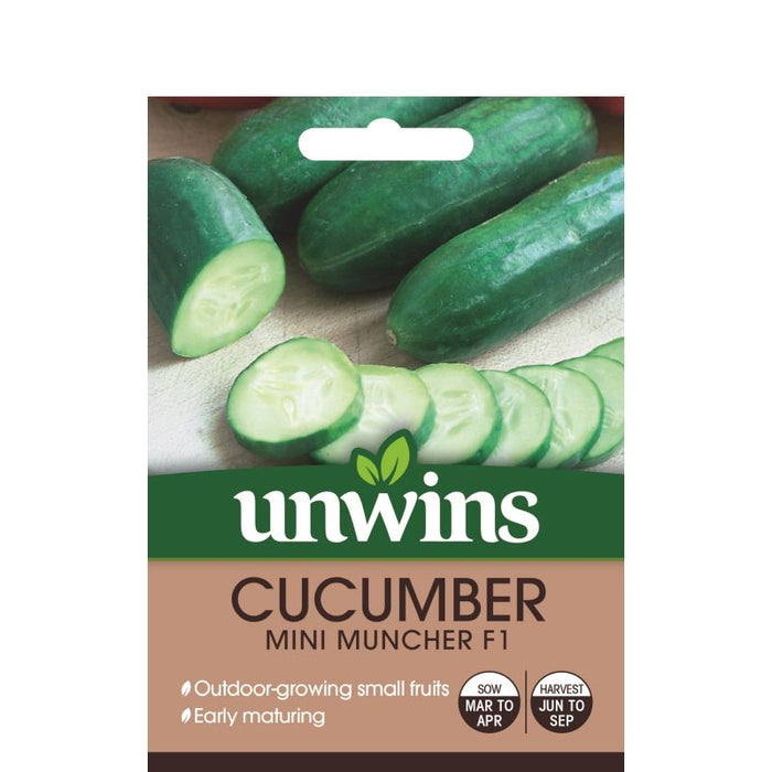 Cucumber Mini Mini Muncher F1