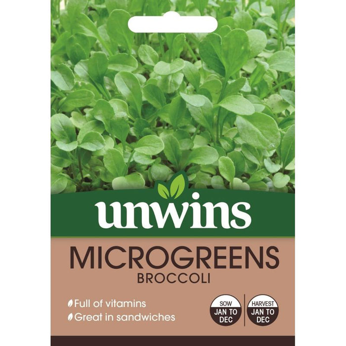 MicroGreens Broccoli