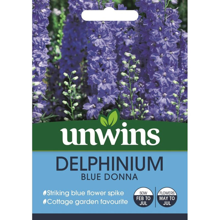 Delphinium Blue Donna