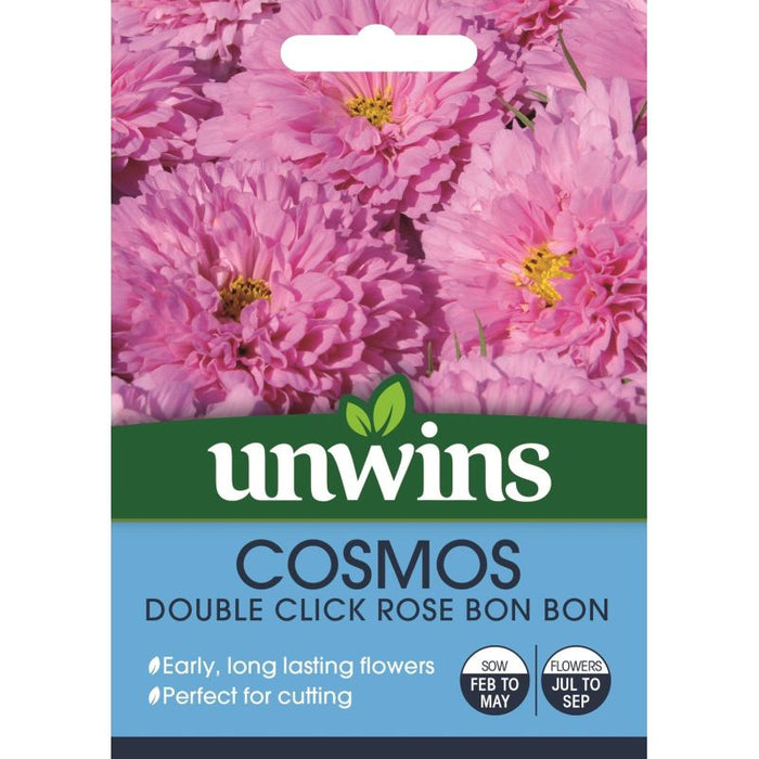 Cosmos Double Click Rose Bon Bon