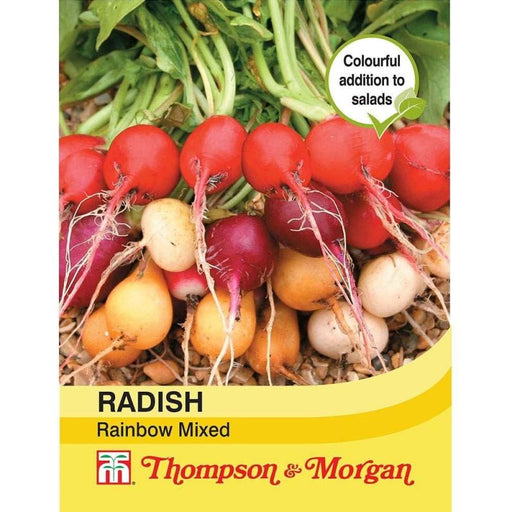 Radish Rainbow Mix