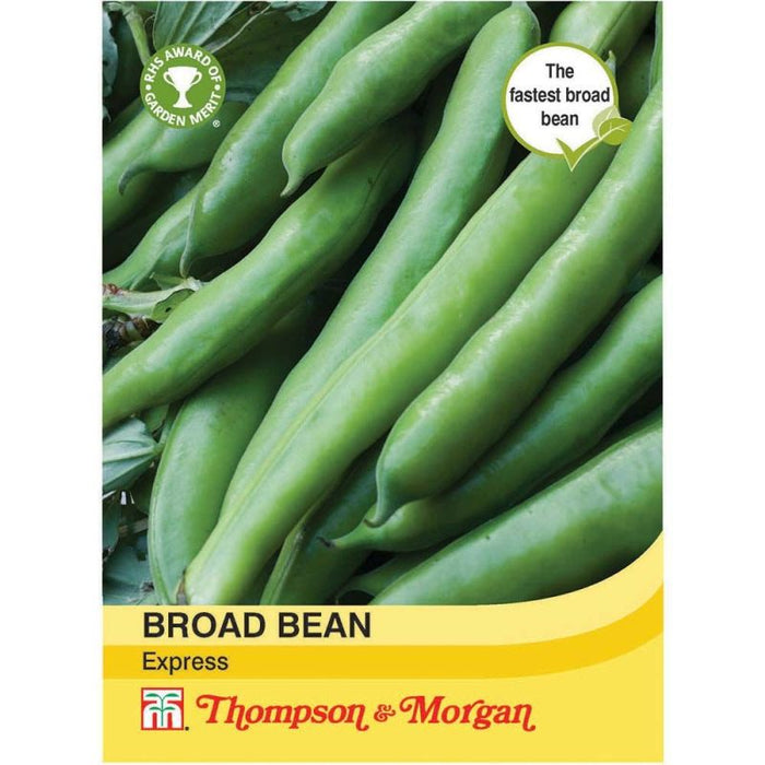 Broad Bean Express