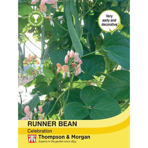 Runner Bean Celebration