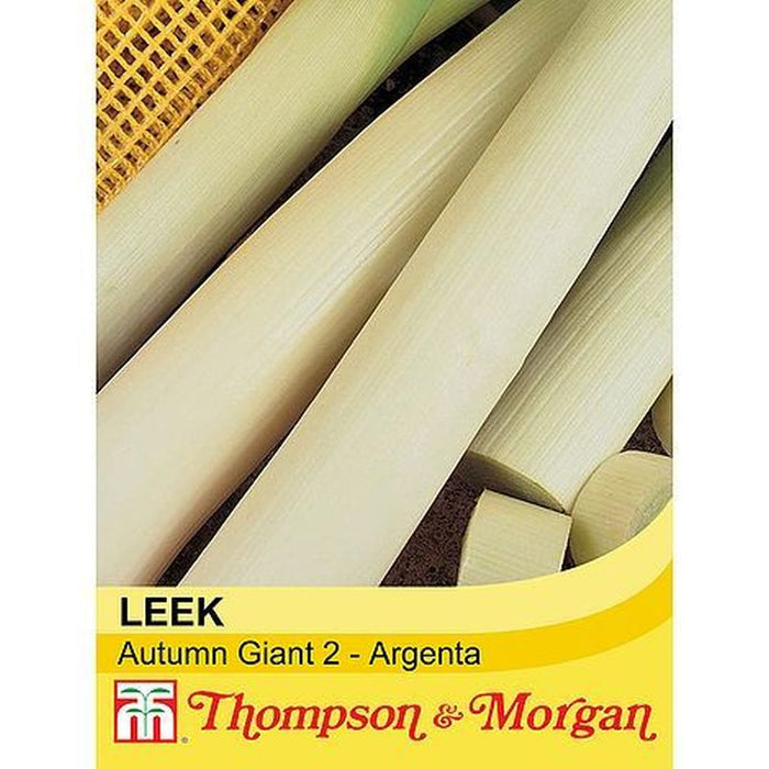 Leek Autumn Giant 2