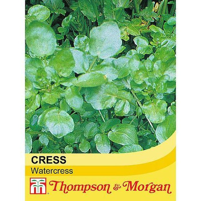 Cress Watercress