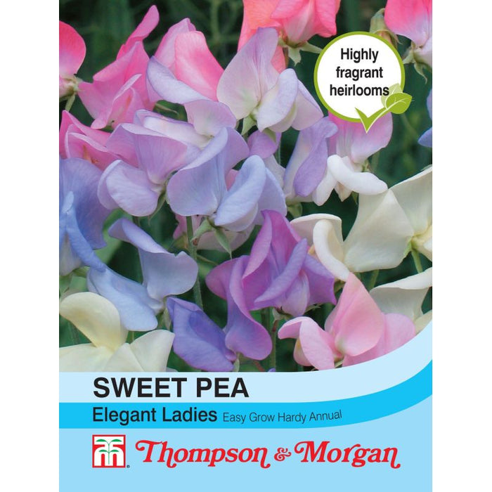 Sweet Pea Elegant Ladies