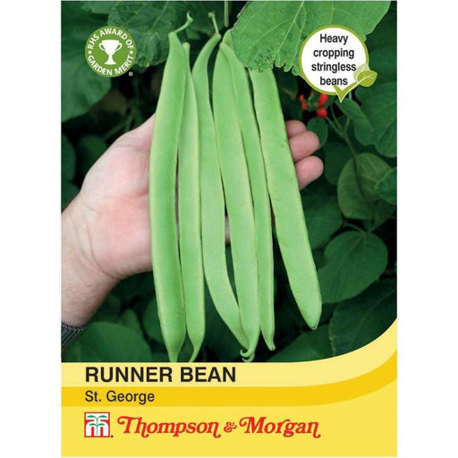 Runner Bean St. George