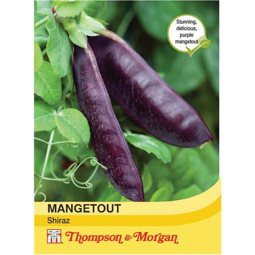 Mangetout Shiraz