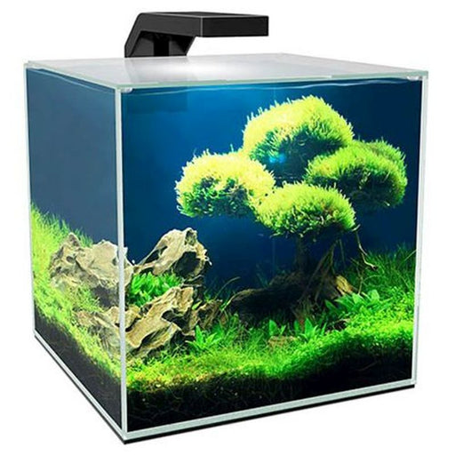 Ciano Aqua Cube 15L