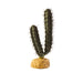 Exo Terra Desert Plant - Finger Cactus