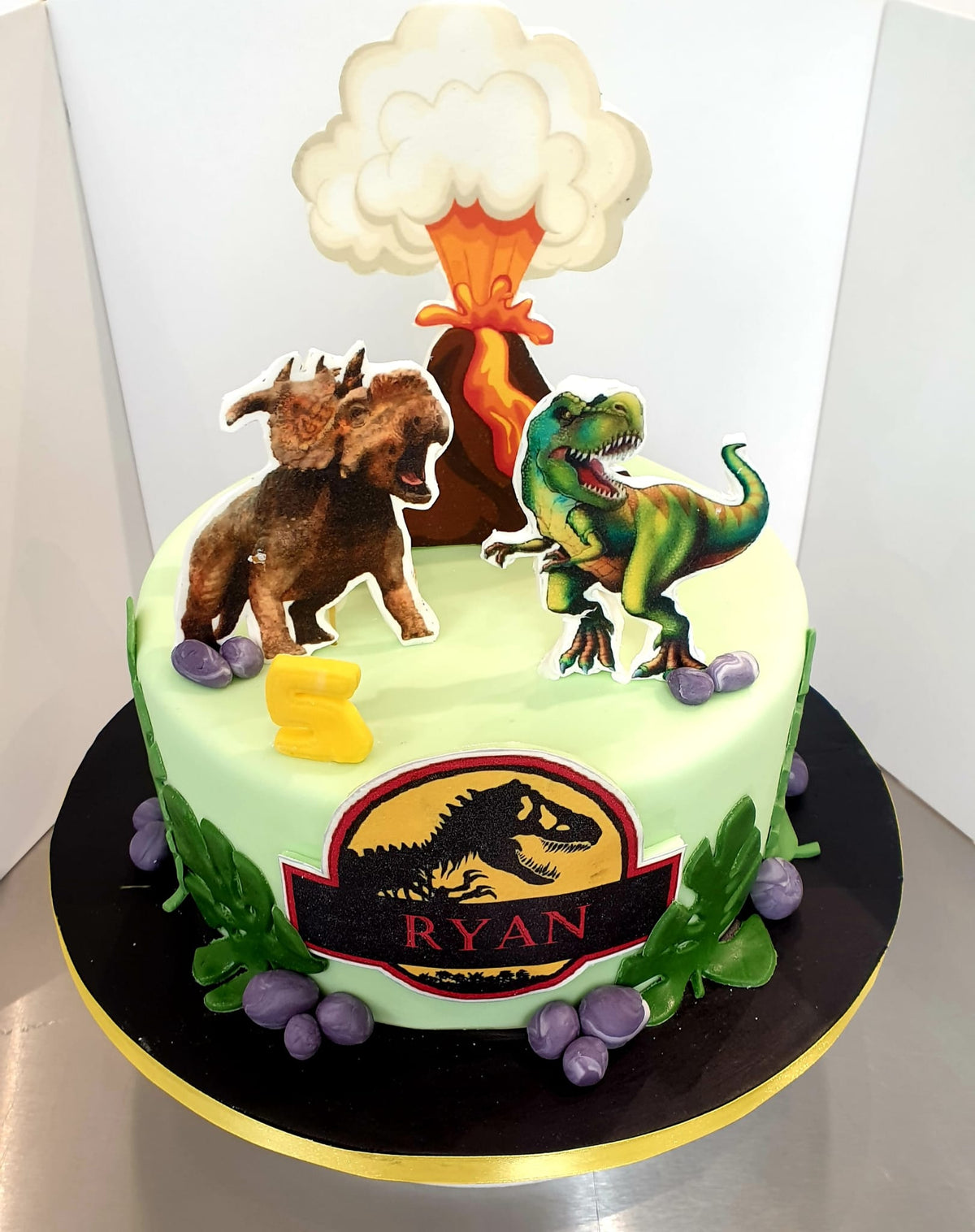 Moist Chocolate Dinosaur Cake Recipe NZ | Edmonds Cooking