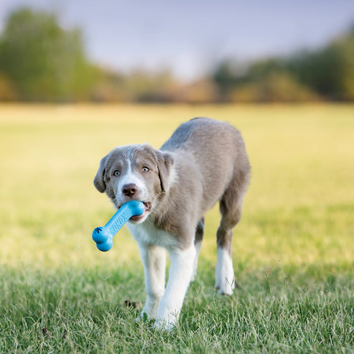 KONG Puppy Goodie Bone Small