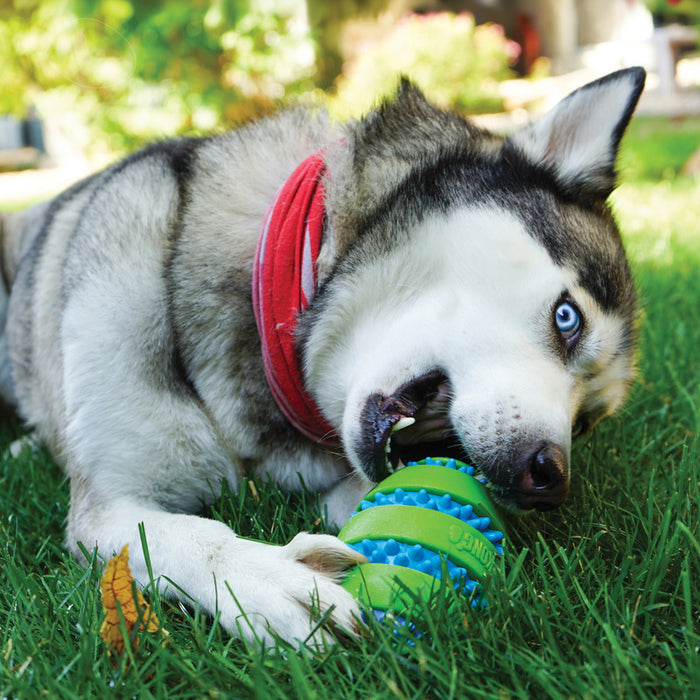 KONG Squeezz Goomz Ball Medium Dog Toy