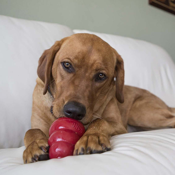 KONG Stuff n Liver Snacks Large